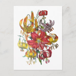 Postal Carnaval de flores