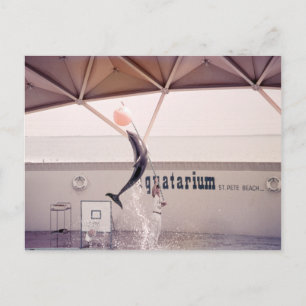 Postal Carné Aquatarium St. Pete Beach Florida
