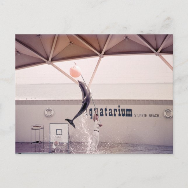 Postal Carné Aquatarium St. Pete Beach Florida (Anverso)