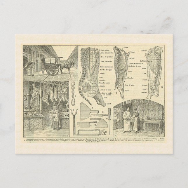 Postal Carnicería, Francia, 1920 (Anverso)