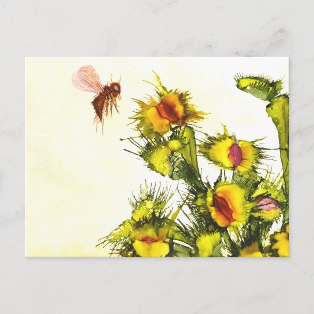 Postal "carnívoro" (Anverso)