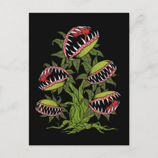 Postal Carnivorous Plant Gifts Monster Venus Fly Trap