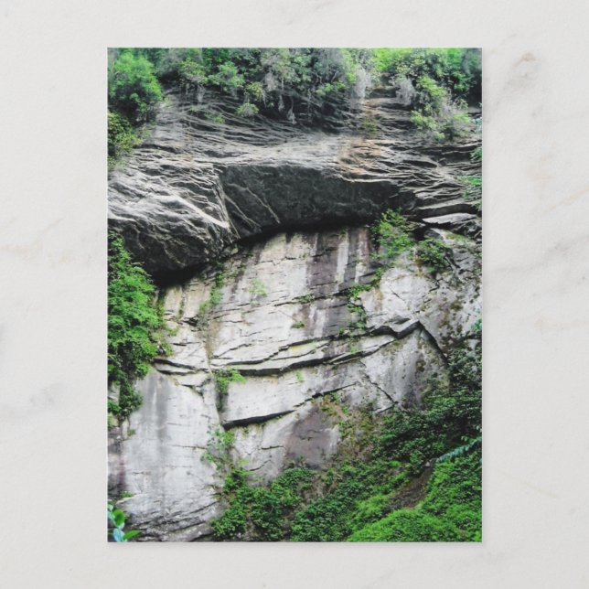 Postal Carolina del Norte (Anverso)