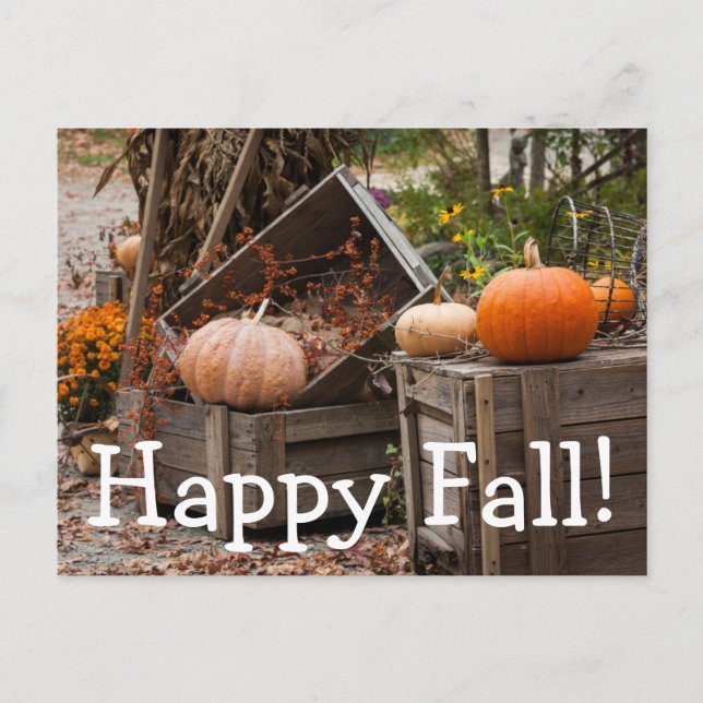 Postal Carolina del Norte, Linville, calabazas otoñales (Anverso)