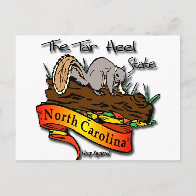 Postal Carolina del Norte Tar Heel State Gray Squirrel (Anverso)