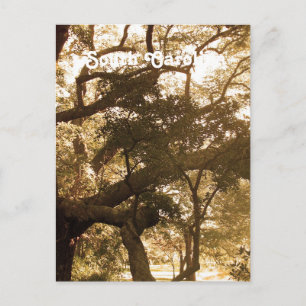 Postal Carolina del Sur