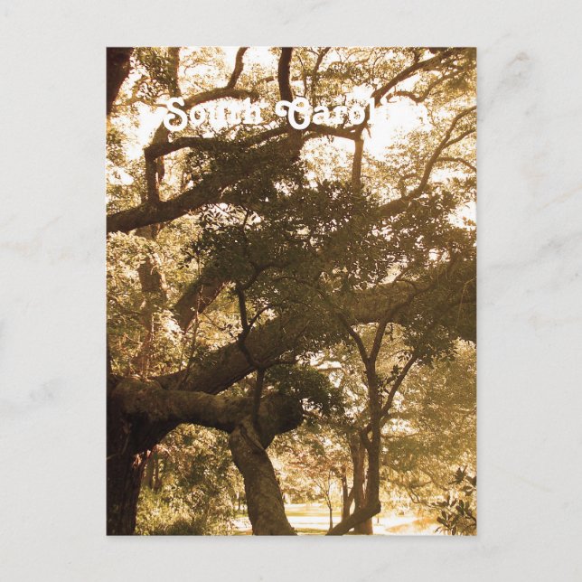 Postal Carolina del Sur (Anverso)