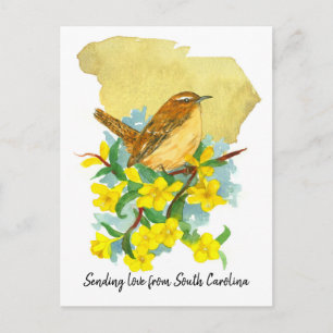 Postal Carolina Love Wren Pájaro Jazmín Flores Amarillas
