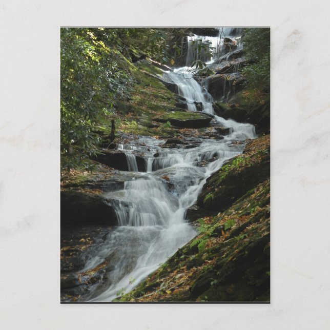Postal Carolina Mountain Waterfall Foto Postcard 2 (Anverso)
