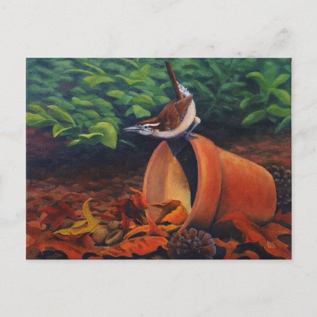 Postal Carolina Wren (Anverso)