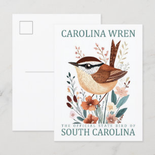 Postal Carolina Wren Bird of South Carolina Travel