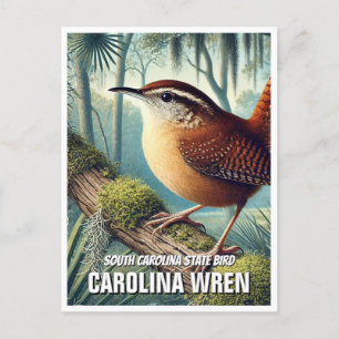Postal Carolina Wren de Carolina del Sur