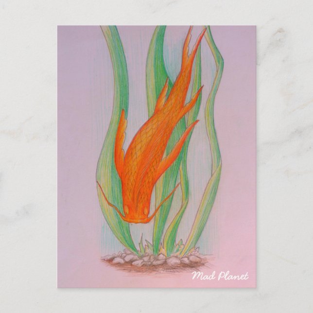 Postal Carpa de Koi dibujada a mano (Anverso)