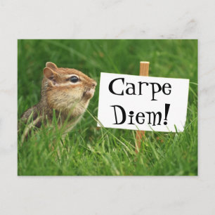 Postal ¡Carpe Diem! Chipmunk con Rótulo