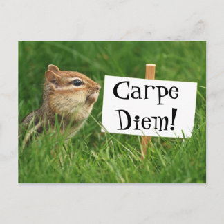 Postal ¡Carpe Diem! Chipmunk con Rótulo