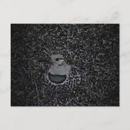 Postal Carpintero de parpadeo del norte v1 - Critters de 