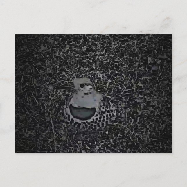 Postal Carpintero de parpadeo del norte v1 - Critters de  (Anverso)