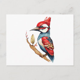 Postal Carpintero rojo y azul