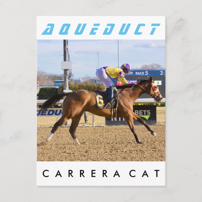 Postal Carrera Cat (Anverso)