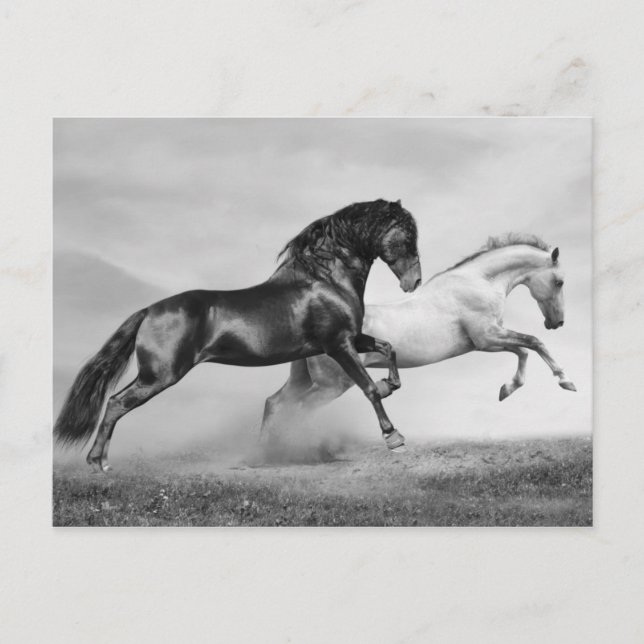 Postal Carrera de caballos (Anverso)