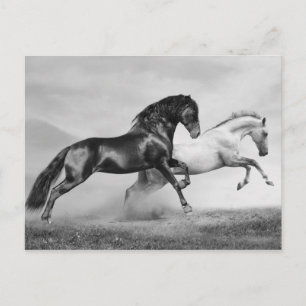 Postal Carrera de caballos