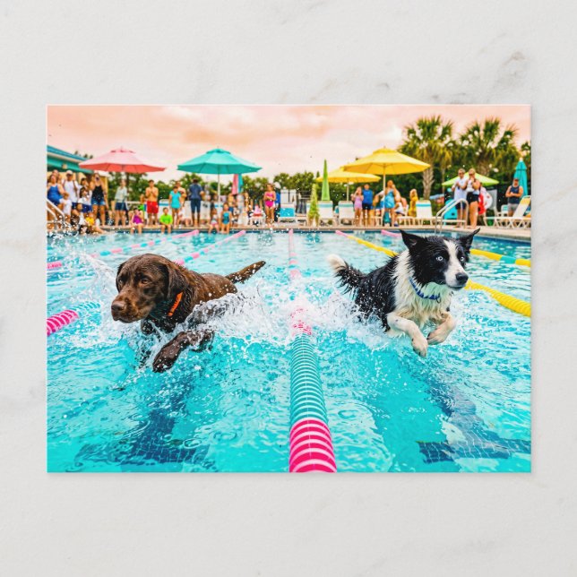 Postal Carrera de perros nadando (Anverso)