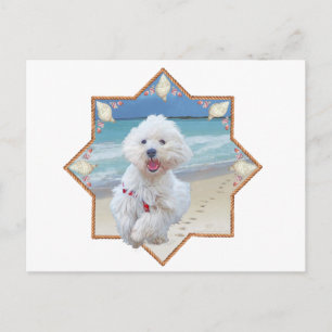 Postal Carrera de playa