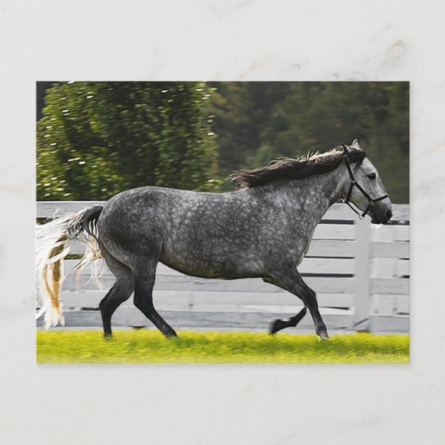 Postal Carrera matutina (Anverso)