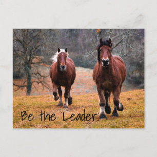 Postal Carreras de caballos salvajes en los bosques