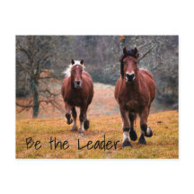 Carreras de caballos salvajes en los bosques