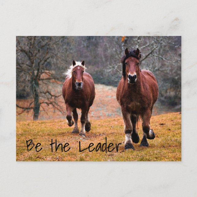 Postal Carreras de caballos salvajes en los bosques (Anverso)
