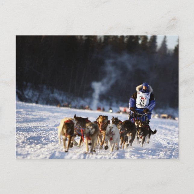 Postal Carreras de perros sin aliento en Alaska (Anverso)