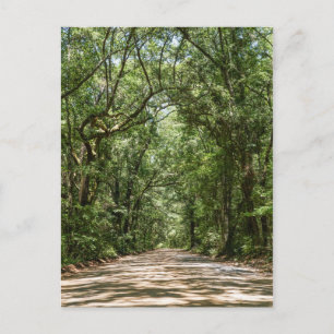 Postal Carretera A La Postcard De Angel Oak