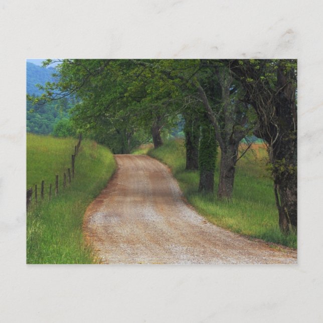 Postal Carretera de campo (Anverso)