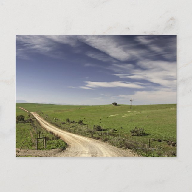 Postal Carretera de finca que se desliza entre los campos (Anverso)