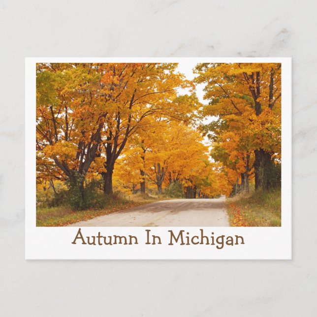 POSTAL "CARRETERA DE MICHIGAN COUNTRY TODO ESTÁ EN CONFLI (Anverso)