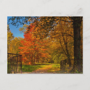 Postal Carretera de otoño