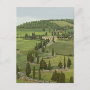 Postal Carretera de Pienza a Montepulciano,