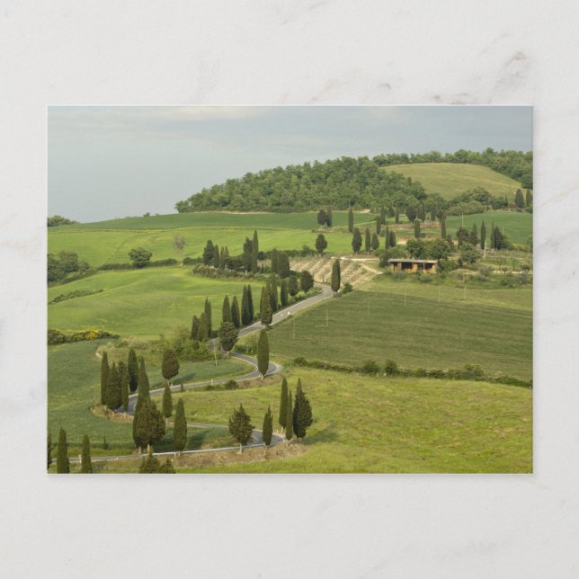 Postal Carretera de Pienza a Montepulciano, (Anverso)