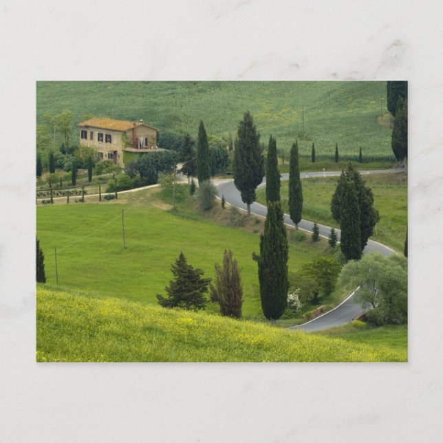 Postal Carretera de Pienza a Montepulciano, 2 (Anverso)