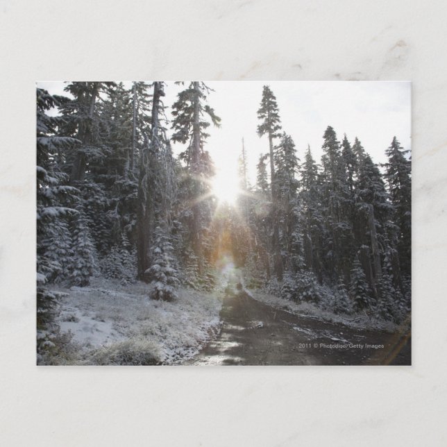 Postal Carretera de tierra nevada que va al sol (Anverso)