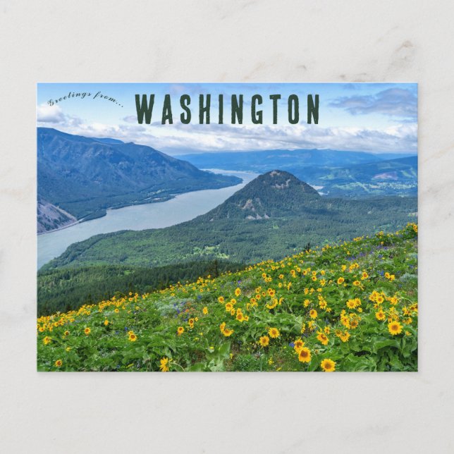 Postal Carretera Dog Mountain Cook Washington USA (Anverso)