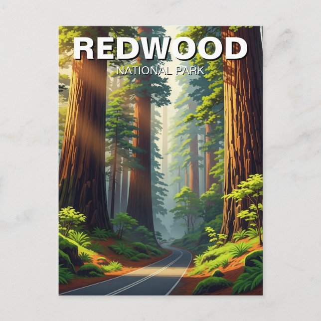 Postal Carretera en el Parque Nacional Redwood (Anverso)