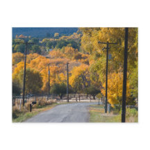 Carretera puente negro