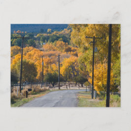 Postal Carretera puente negro