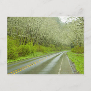 Postal Carretera remota a través del bosque