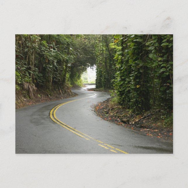 Postal Carreteras con curvas a través de la selva (Anverso)