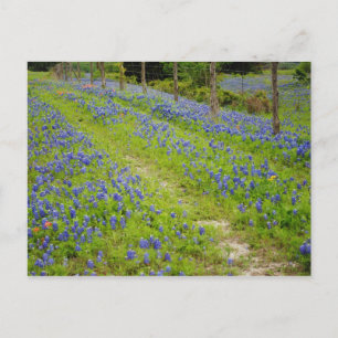 Postal Carreteras sucias