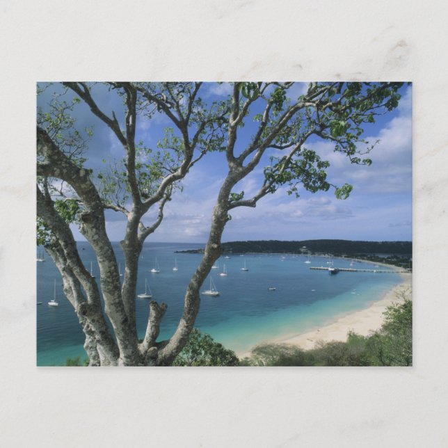Postal Carribean, Anguila Island, Road Bay Harbour. (Anverso)