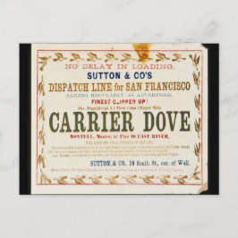 Postal Carrier Dove Clipper Sailing